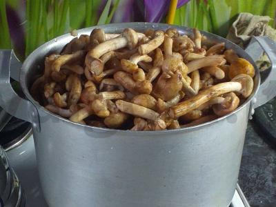 Marinuoti pievagrybiai namuose Žingsnis 1