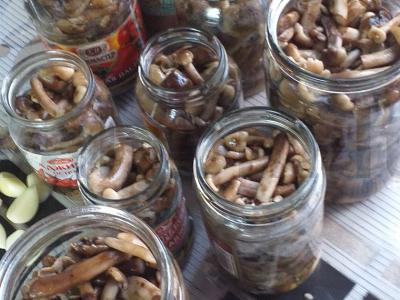 Marinuoti pievagrybiai namuose Žingsnis 3