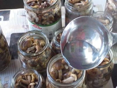 Marinuoti pievagrybiai namuose Žingsnis 5