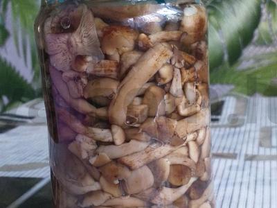 Marinuoti pievagrybiai namuose pagrindine nuotrauka