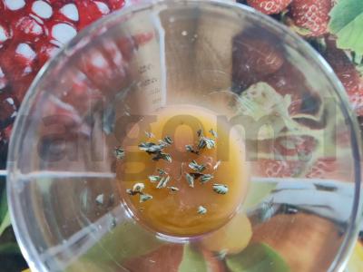 Kokteilis „Mėtinė“ Žingsnis 2