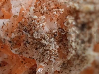 Burokėlių ir morkų salotos pagrindine nuotrauka