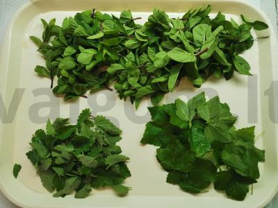 Žolelių arbatos ruošiniai žiemai Žingsnis 1