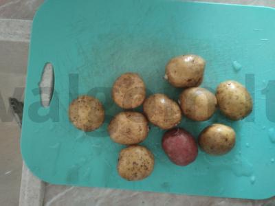 Bulvės „Kaimiškos“ Žingsnis 1