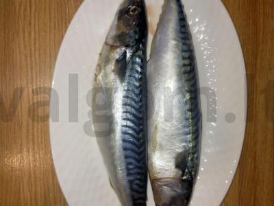 Namų sūdyta skumbrė Žingsnis 1