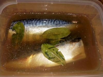 Namų sūdyta skumbrė Žingsnis 4