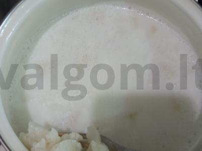 Žiedinės kopūstų tyrė Žingsnis 2