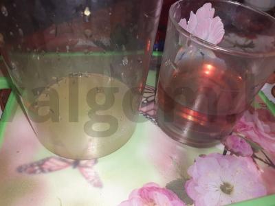 Kokteilis su rožiniu vynu ir apelsinų sultimis Žingsnis 2