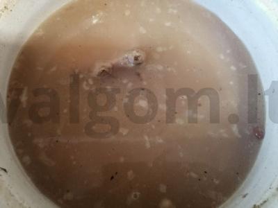 Pupelių sriuba Žingsnis 4