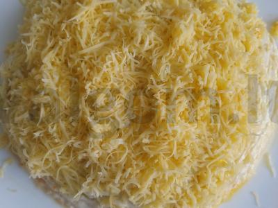 Salotas „Mimoza“ švelnus Žingsnis 9