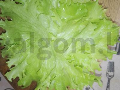 Namų burgeriai su vištienos kotletais Žingsnis 4