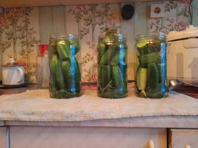 Sūdyti agurkai žiemai Žingsnis 3