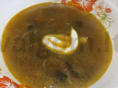 Sriuba su mėsa ir džiovintais grybais lėtoje viryklėje pagrindine nuotrauka