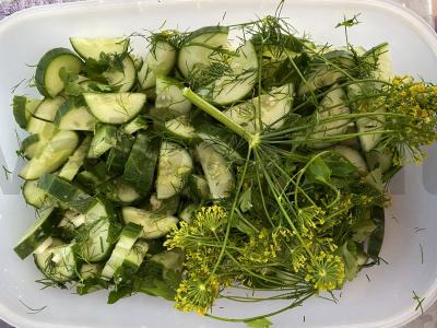 Sūdyti agurkai Žingsnis 2