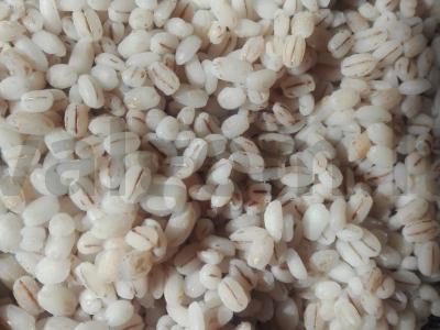 Birios perlų kruopos iš to, kas buvo Žingsnis 2