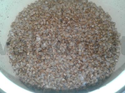 Grikių košė su vištienos širdelėmis ir svogūnais Žingsnis 1