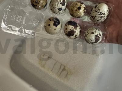 Ploni blynai be skylučių su alyvuogių aliejumi ant putpelės kiaušinio Žingsnis 1