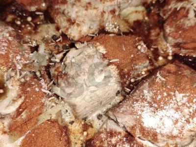 Kiaulienos šoninė, garinta šviesiame aluje su svogūnais Žingsnis 6