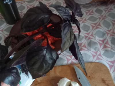 Itališkas malonumas Žingsnis 3