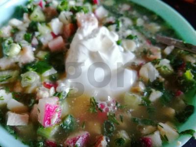 Gaivus okroška pagrindine nuotrauka