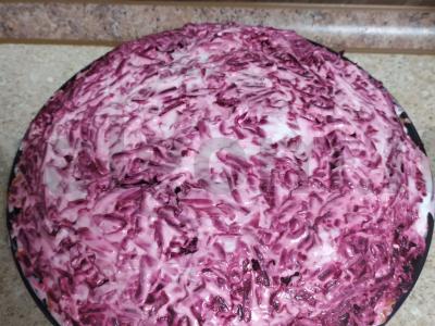 Sluoksniuotas salotas „Po šuba“ su silke pagrindine nuotrauka