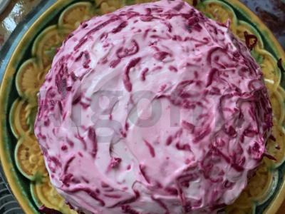 Silkė po šubomis šventinė pagrindine nuotrauka