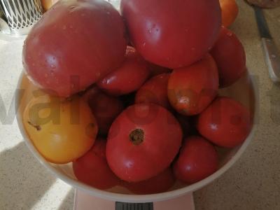 Džiovinti pomidorai Žingsnis 1