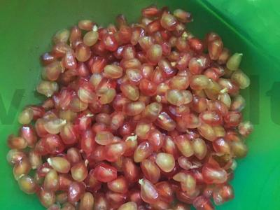 Granatų salotas su vištienos krūtinėle ir raudonuoju svogūnu Žingsnis 3