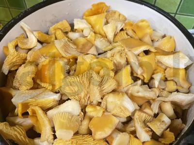 Kepti lisiukai Žingsnis 1