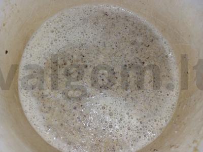 Šiitake kreminė sriuba Žingsnis 3