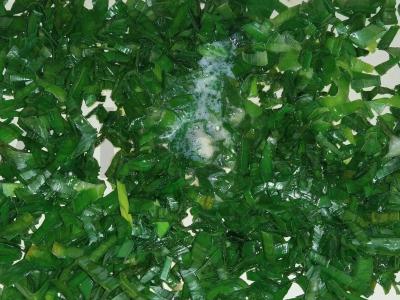 Porožinis svogūnų sriuba Žingsnis 1