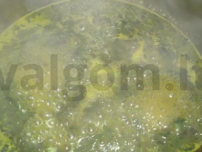 Porožinis svogūnų sriuba Žingsnis 3