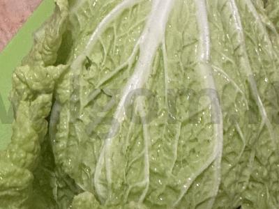 Skanus salotas su vištiena Žingsnis 1