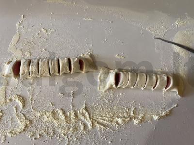 Originalus dešrelių pateikimas tešloje elektriniame grilyje Žingsnis 5