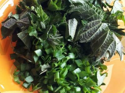 Upėtakio sriuba su dilgėlėmis ir žaliu svogūnu Žingsnis 4