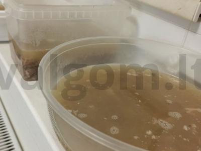 Šaltiena iš kiaulienos kulno ir jautienos pečių Žingsnis 7