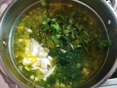 Žaliasis sriuba su rūgštynėmis Žingsnis 10