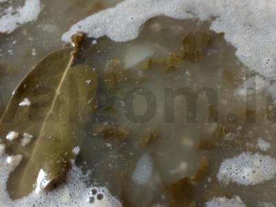 Šalotų sriuba pagrindine nuotrauka