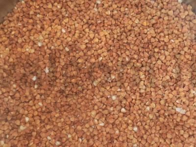 Grikių košė su troškiniu ir keptu svogūnu Žingsnis 1