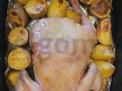 Vištiena, kepta su bulvėmis grietinės padaže ir druskoje pagrindine nuotrauka