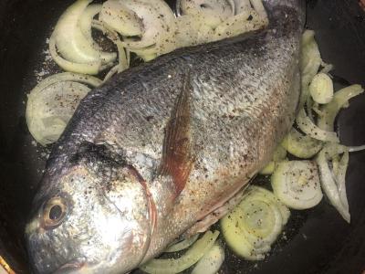 Garinta žuvis Žingsnis 2