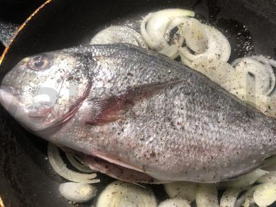 Garinta žuvis Žingsnis 3