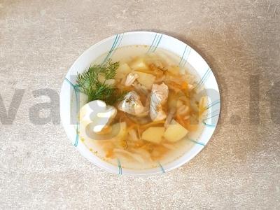 Vasaros sriuba su kalakutienos mėsa pagrindine nuotrauka