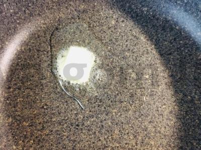 Lengvas salotas su krevetėmis ir kukurūzais Žingsnis 2