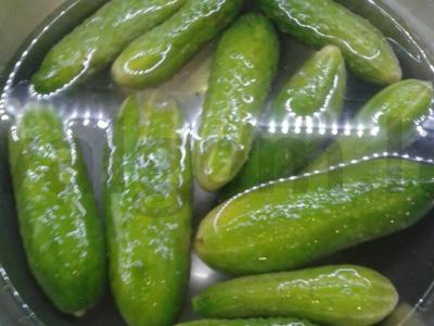 Sūdyti agurkai su česnaku Žingsnis 1