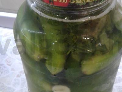 Sūdyti agurkai su česnaku pagrindine nuotrauka