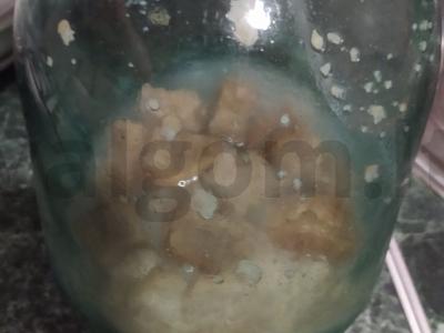 Namų kvasas iš dviejų rūšių duonos Žingsnis 3