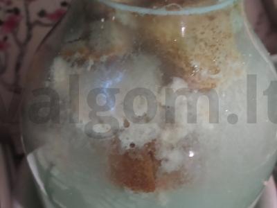 Namų kvasas iš dviejų rūšių duonos Žingsnis 6