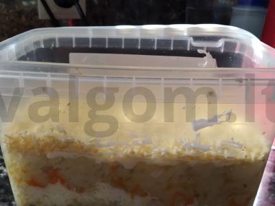 Salotas „Mimoza“ su rūkytomis silkėmis pagrindine nuotrauka