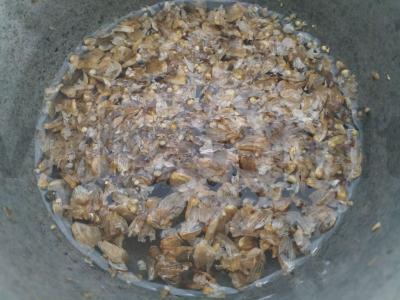 Tikras duona, pagaminta ant apynio rauginto Žingsnis 1